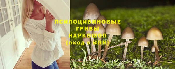 PSILOCYBIN Арсеньев